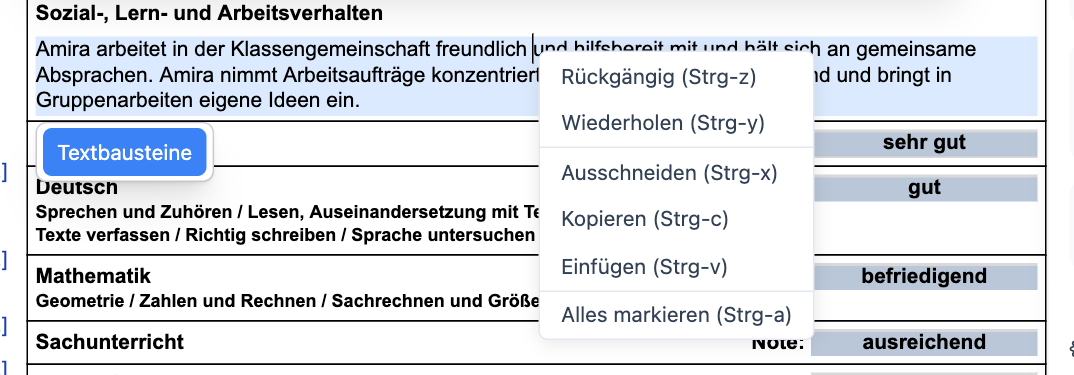 Kontextmenü im Textfeld